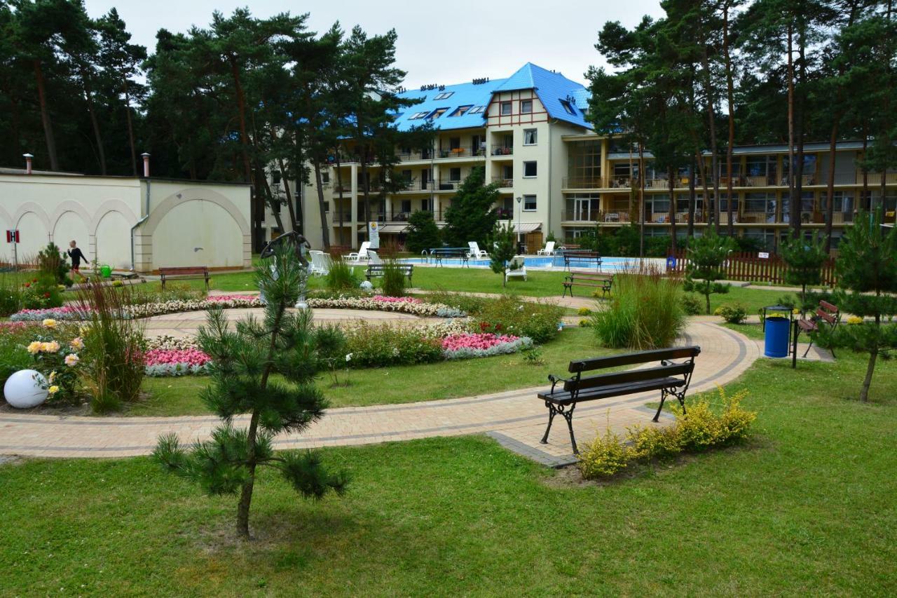 Dmuchawiec Apartamento